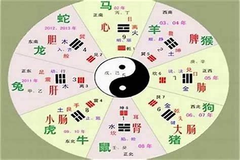 頴五行|锟字的五行属性